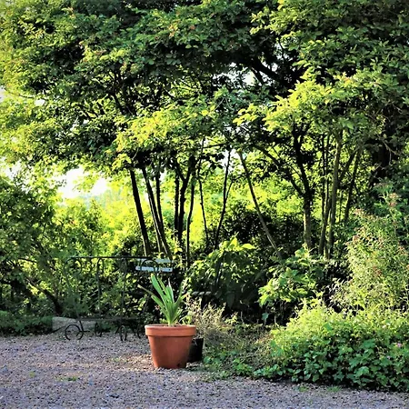 Bed & Breakfast La Casanyères - Campagne Normande - 5min - De Touffreville-sur-Eu