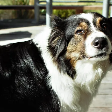 La Casanyères - Campagne Normande - 5min - De 3*