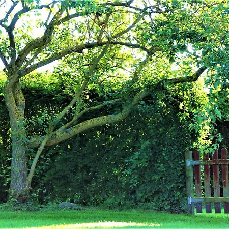 La Casanyères - Campagne Normande - 5min - De Touffreville-sur-Eu
